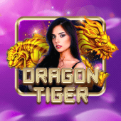 Dragon Tiger app game
